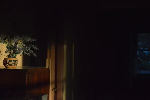 טרדה קזינו תמיכה